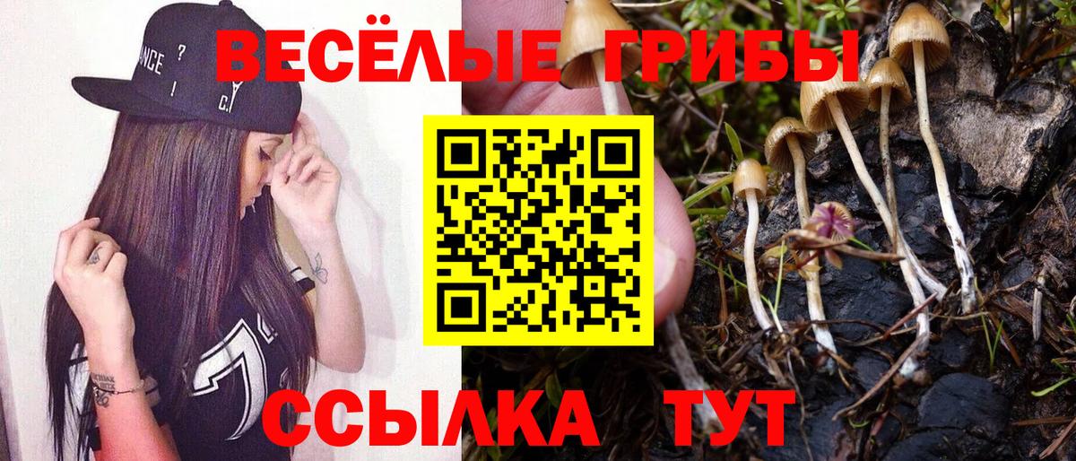 Галлюциногенные грибы прущие грибы Дагестанские Огни
