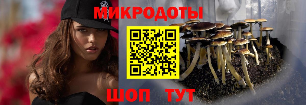 Дагестанские Огни  Галлюциногенные грибы прущие грибы  Вход с VPN 